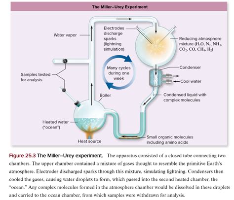 miller urey experiment debunked.